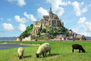 Mont Saint-Michel, Field