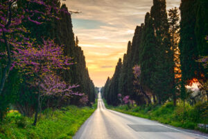 Roads in Maremma