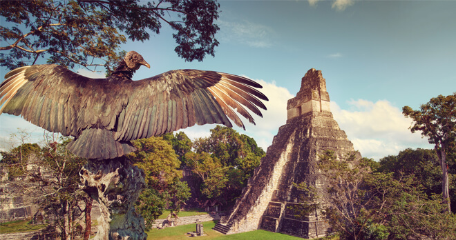 Ruins at Tikal, Guatemala