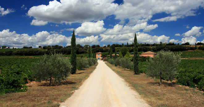 Winery in Chateauneuf-du-Pape