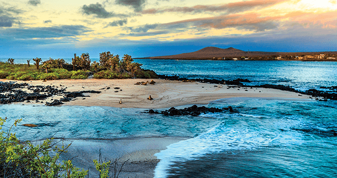 Galapagos Islands