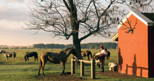 Estancia La Bamba de Areco