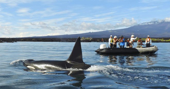 M/V Santa Cruz II – Activities