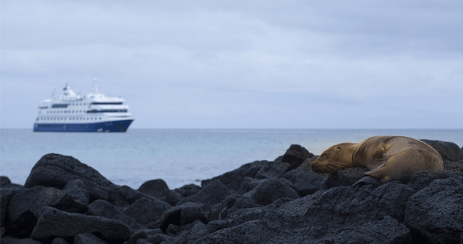 M/V Santa Cruz II