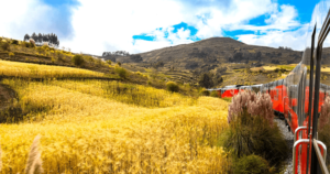 Tren Crucero, Ecuador