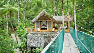 Pacuare Lodge-Canopy Suite