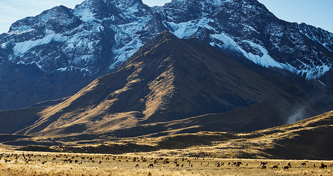 Belmond Andean Explorer