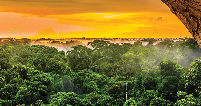 Brazil Amazon