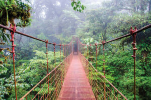 Costa Rica Monteverde Cloud Forest