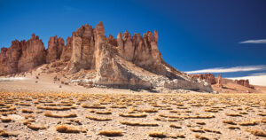 Salar de Tara, Atacama Desert