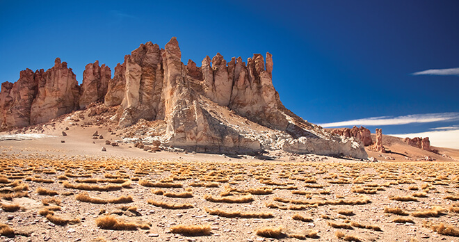 Salar de Tara, Atacama Desert