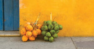 Coconuts in Cartagena, Colombia