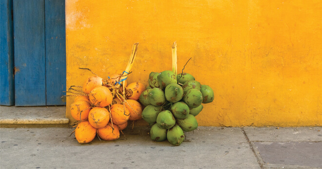 Coconuts in Cartagena, Colombia