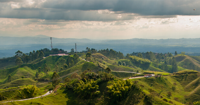 Coffee Growing Region