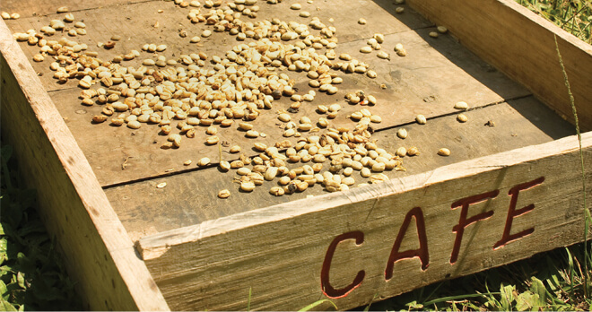 Coffee in Colombia