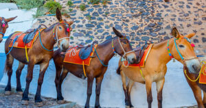 Santorini, Greece