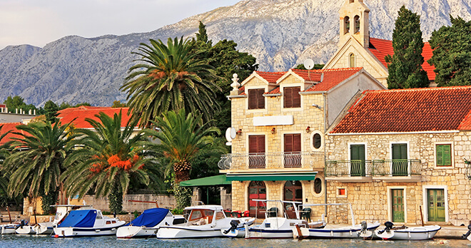 Palm Trees, Hvar