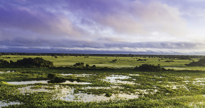 Pantanal, Brazil