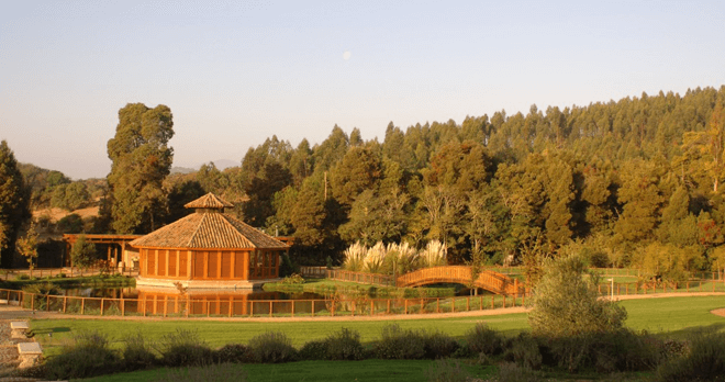 Restaurant, LA CASONA, Chile