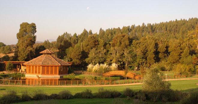 LA CASONA, Rosario Valley, Casablanca, Chile