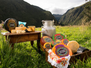 Hacienda Cheese Wheels