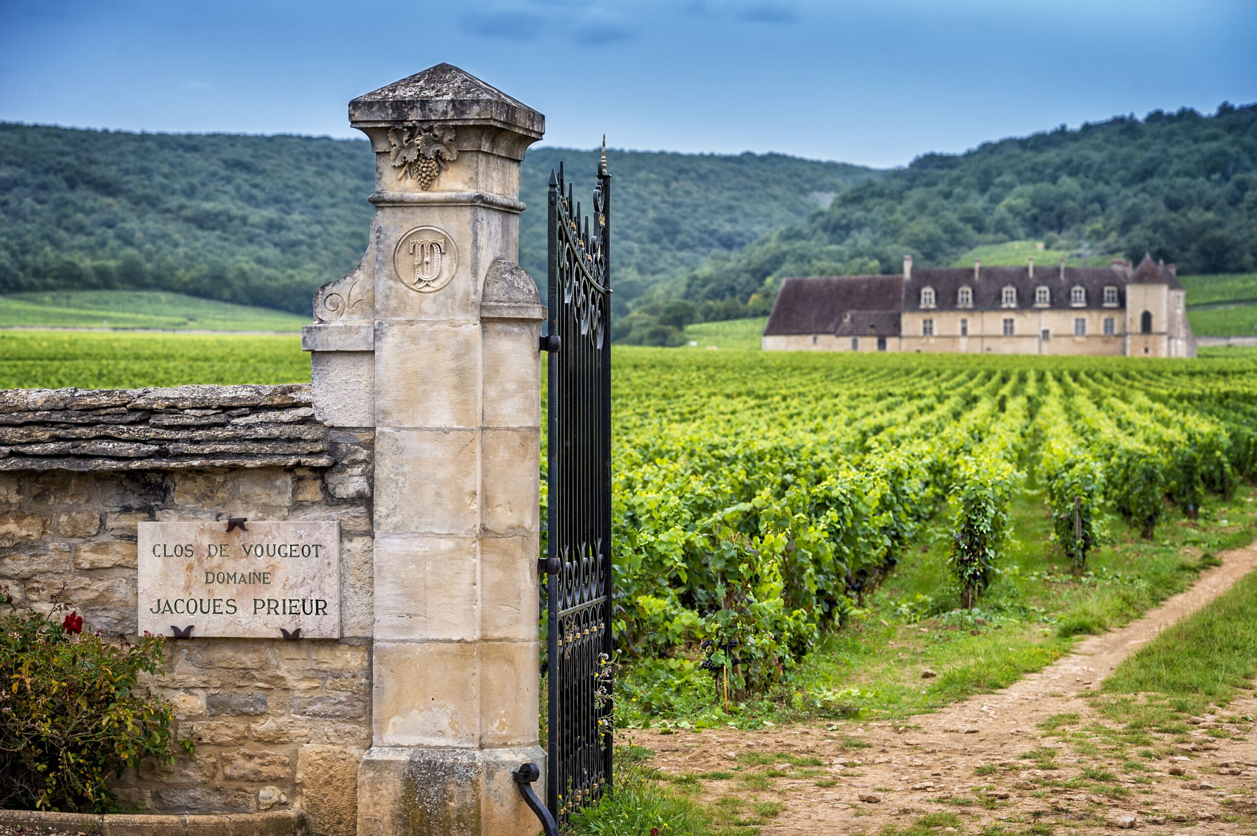 Winery, Burgundy