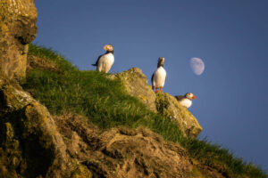 Faroe Islands