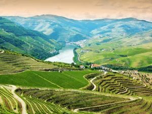 Douro Valley Portugal